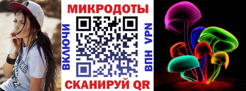 Галлюциногенные грибы Psilocybine cubensis  Козьмодемьянск 