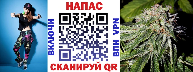 Шишки марихуана сатива Козьмодемьянск